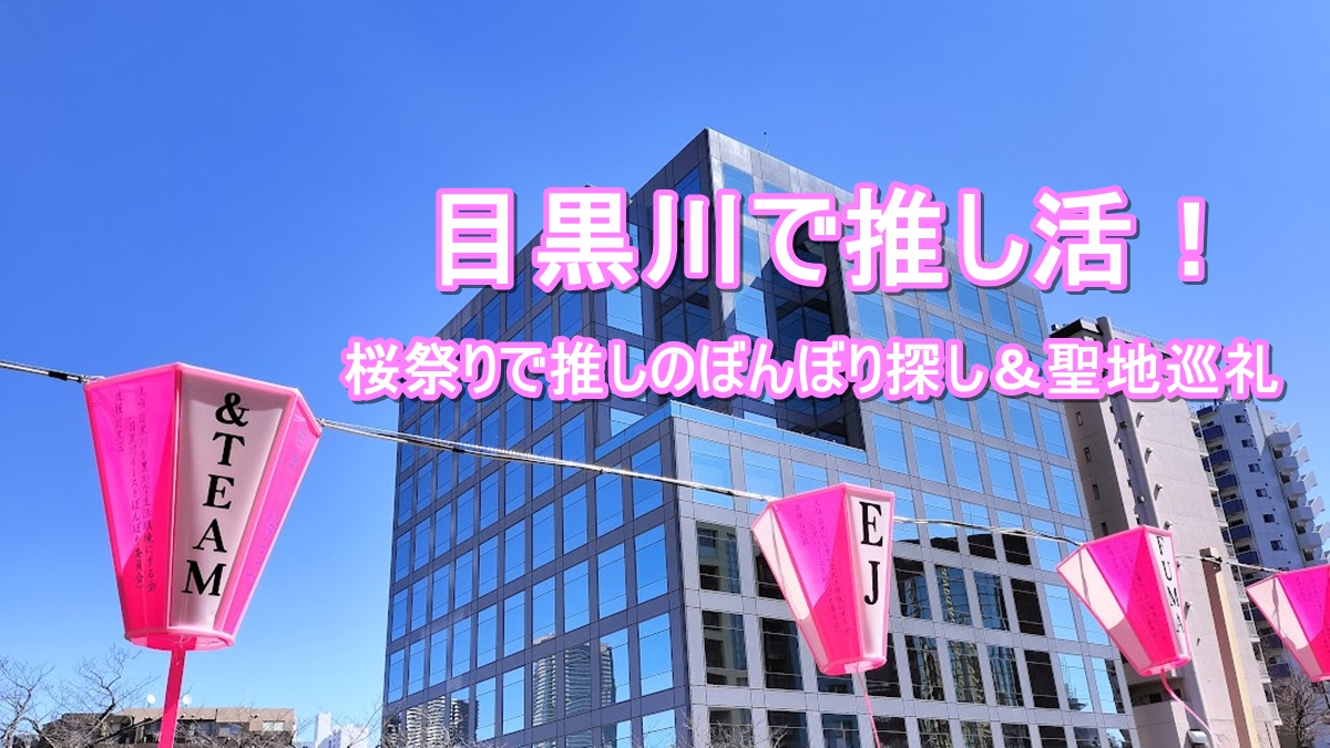 目黒川沿いの桜祭り　＆TEAMのぼんぼりと目黒の高層ビル背景