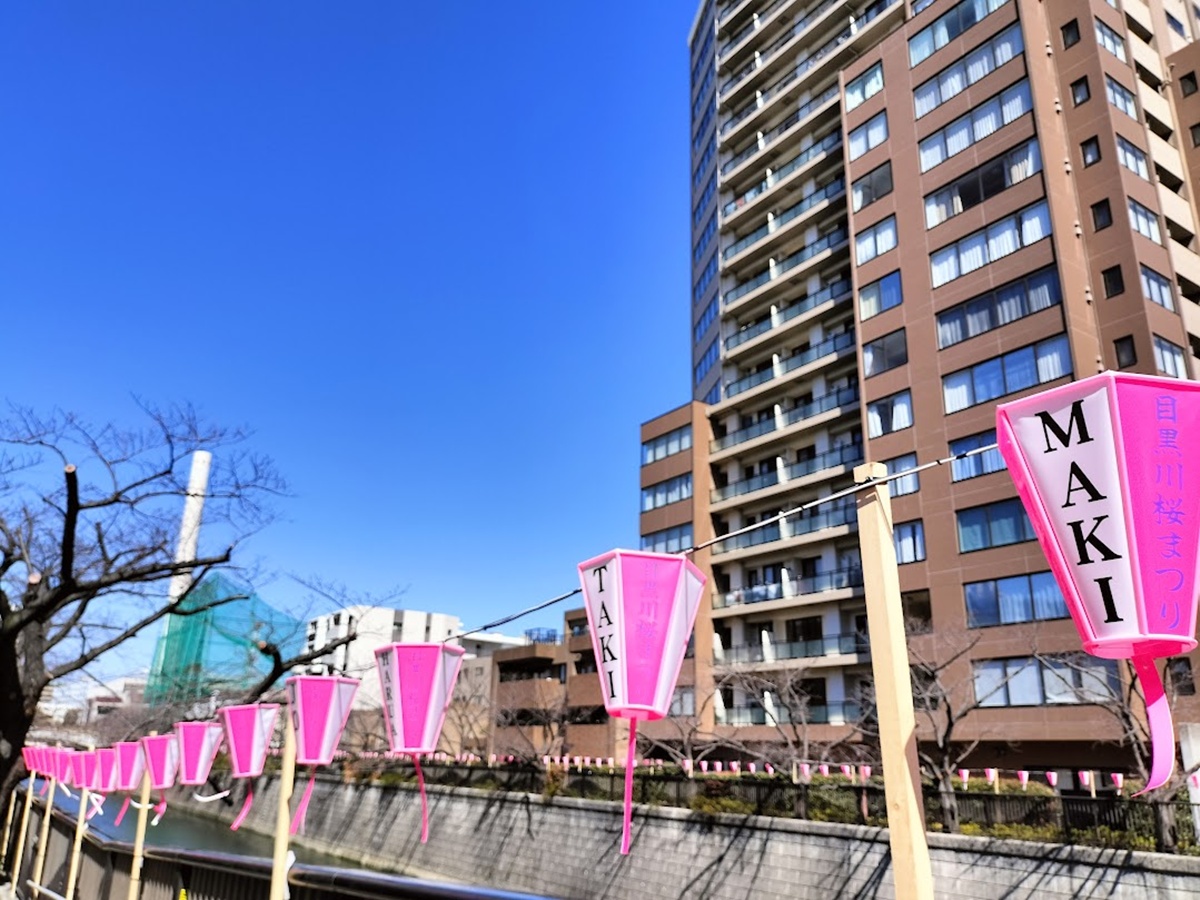 目黒川の桜祭り 目黒駅よりの川沿いに&TEAMの名前入りぼんぼり